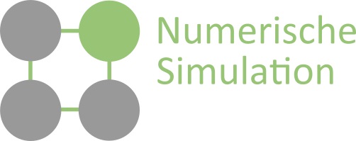 AG NumSim Logo