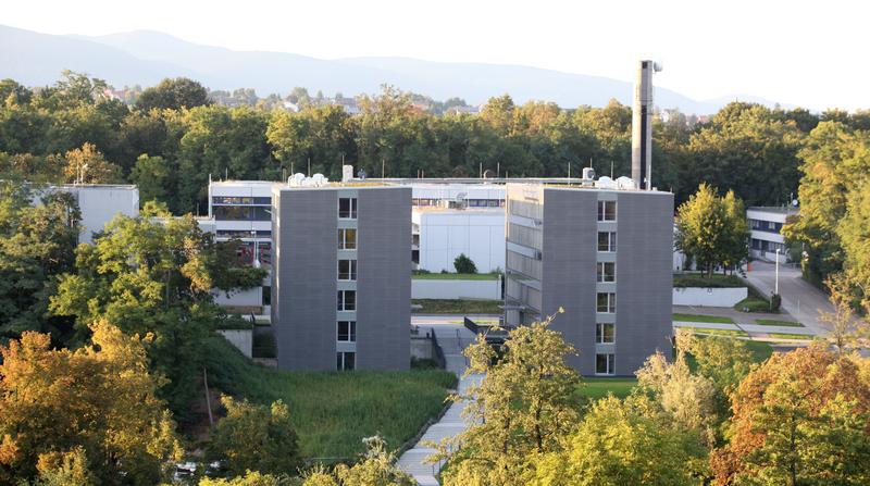 Das Foto zeigt den Blick auf die Gebäude I und K am Campus Landau.