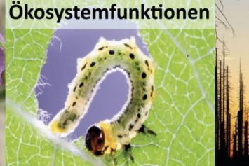 Die drei Fotos (Spinne in einer Blüte, Raupe frisst ein Blatt, Waldschäden) symbolisieren das Profil der AG Ökosystemanalyse (Biodiversität, Ökosystemfunktion, Globaler Wandel)